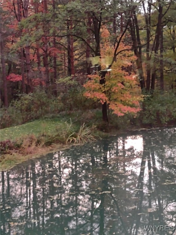 3608 Ford Miles Road, Hinsdale, New York image 46