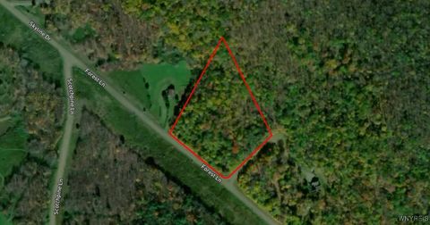 Vacant Land For Sale - LOT 20 Forest Lane<br/> Andes, NY 13731