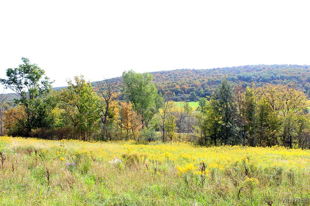 13 Sundance Road, Ellicottville, New York image 9