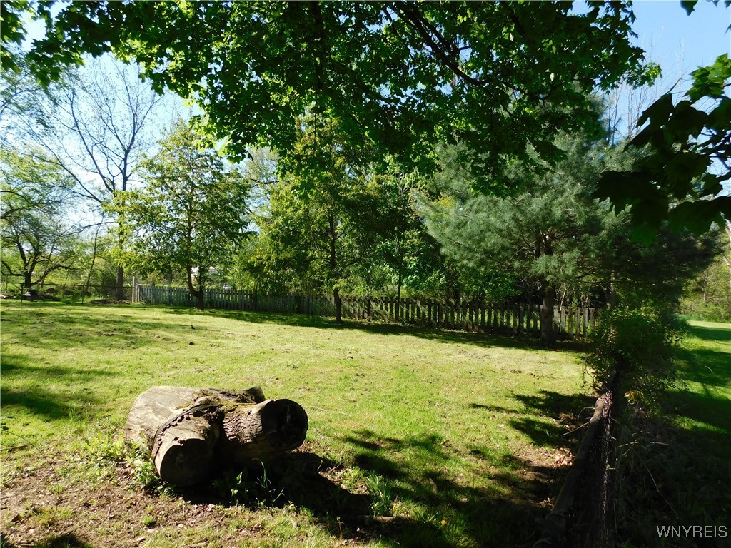 49 Allen Street, Collins, New York image 3