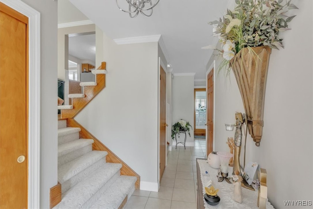 79 Maplegrove Avenue