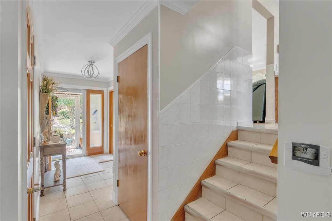 79 Maplegrove Avenue