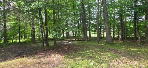 Tiny photo for 8905 County Road, Clarence, NY 14032 (MLS # B1694924)