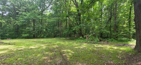 Tiny photo for 8905 County Road, Clarence, NY 14032 (MLS # B1694924)