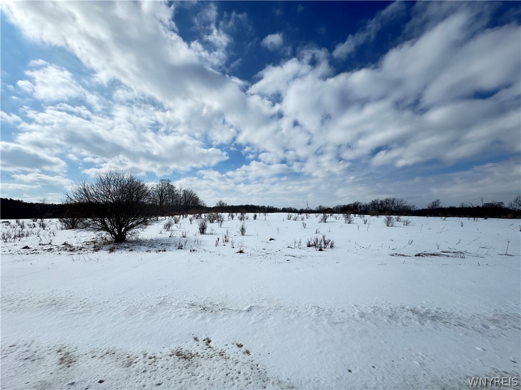 0 Orangeville Center Rd