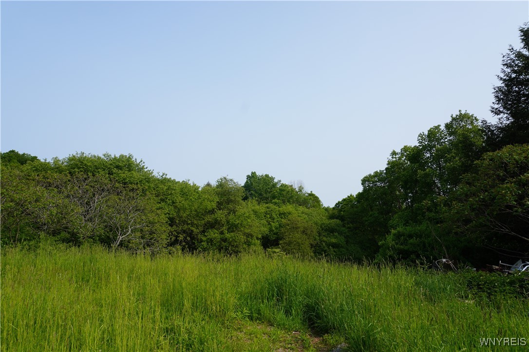 4598 E Becker Road, Collins, New York image 3