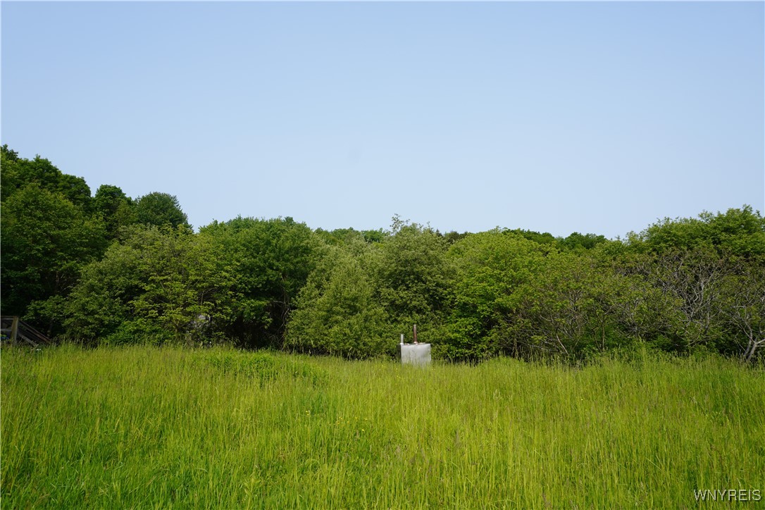4598 E Becker Road, Collins, New York image 2