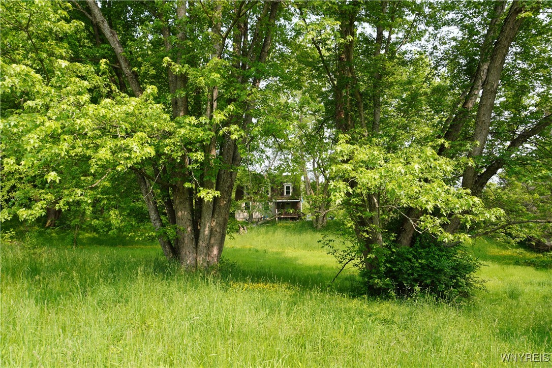 4598 E Becker Road, Collins, New York image 8