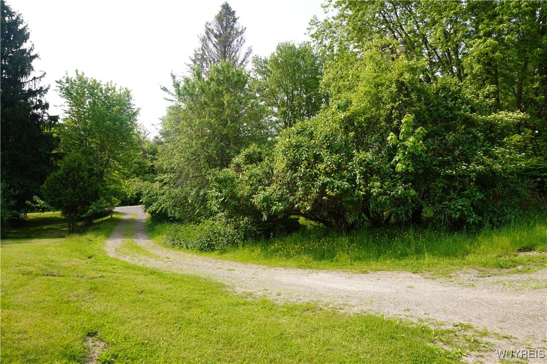 4598 E Becker Road, Collins, New York image 4