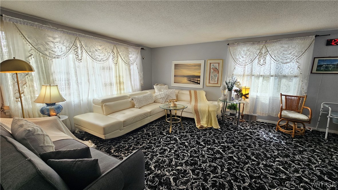 57 Alpine Place, Cheektowaga, New York image 15