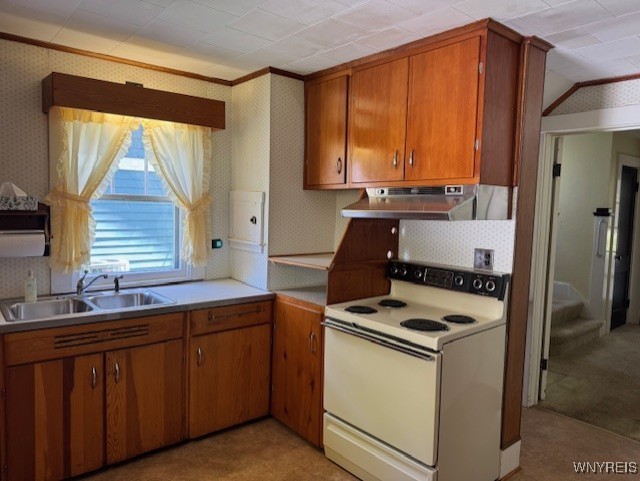564 Linden Avenue, Aurora, New York image 7