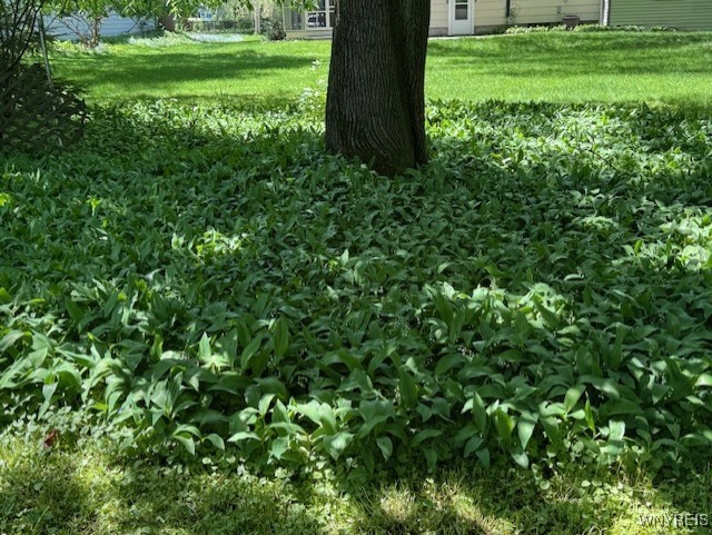 564 Linden Avenue, Aurora, New York image 30