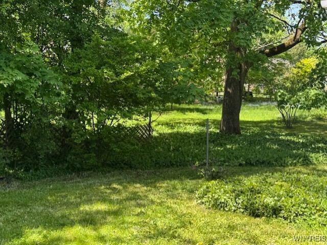 564 Linden Avenue, Aurora, New York image 27