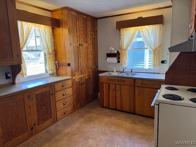 564 Linden Avenue, Aurora, New York image 5