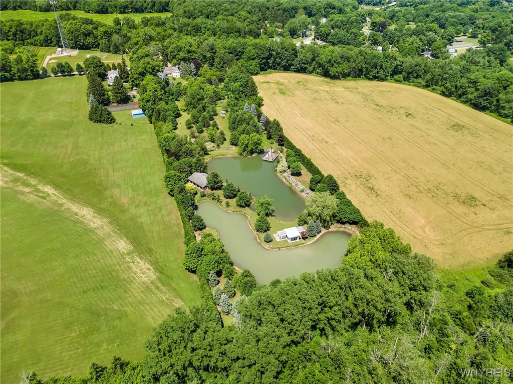 11919 Versailles Silver Crk Road, Perrysburg, New York image 9