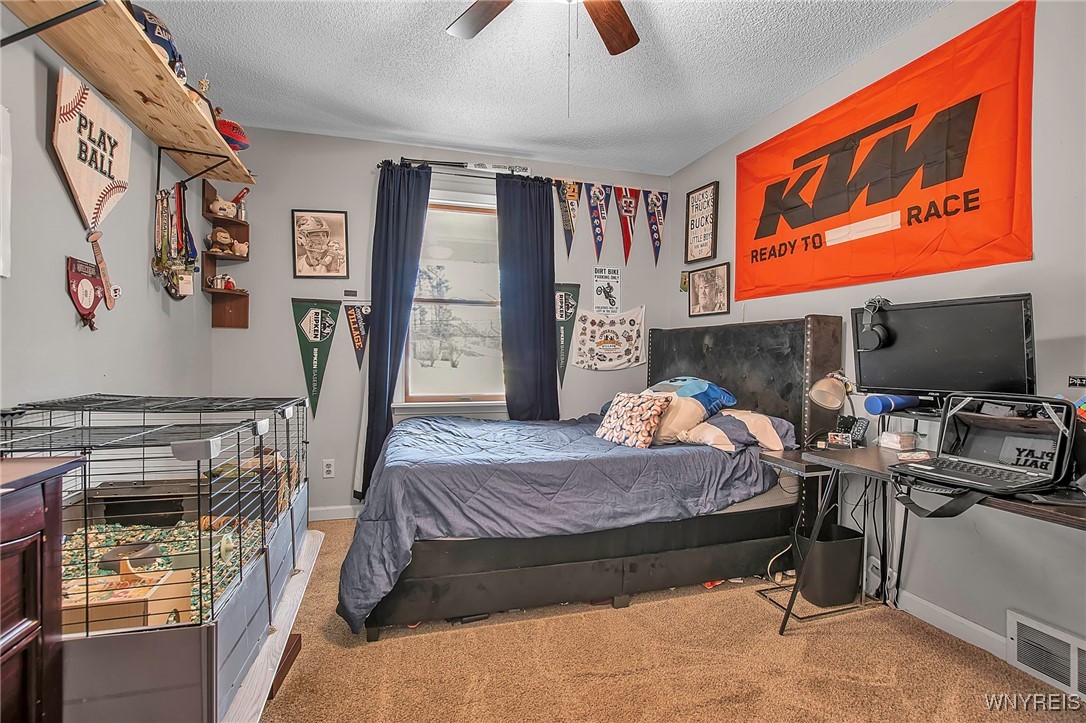 440 Falls Road, Aurora, New York image 21