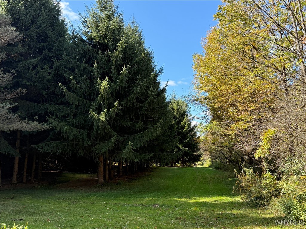 10070 Warner Gulf Road, Sardinia, New York image 12