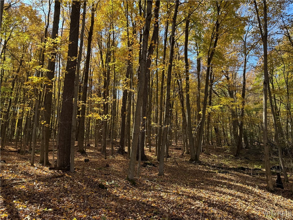 10070 Warner Gulf Road, Sardinia, New York image 14
