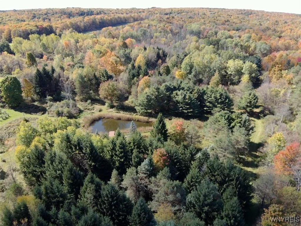10070 Warner Gulf Road, Sardinia, New York image 18