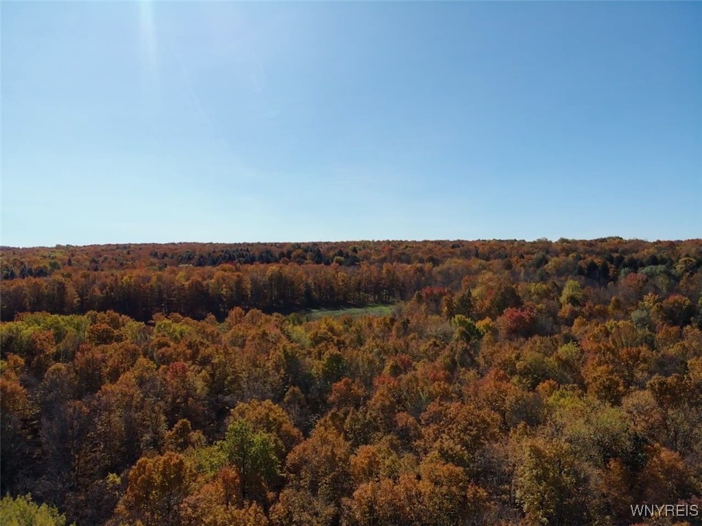 10070 Warner Gulf Road, Sardinia, New York image 32