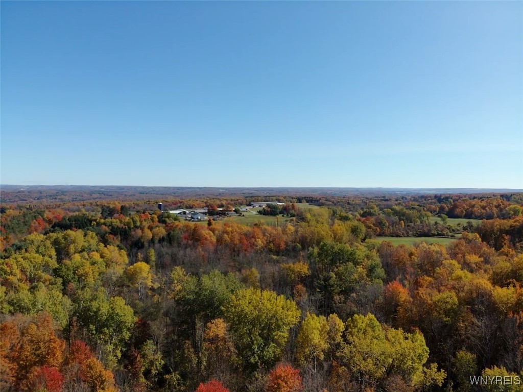 10070 Warner Gulf Road, Sardinia, New York image 34
