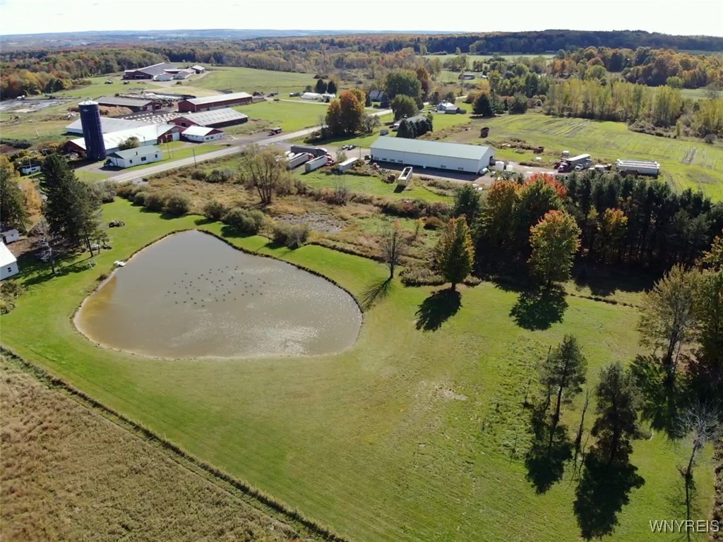 10070 Warner Gulf Road, Sardinia, New York image 17
