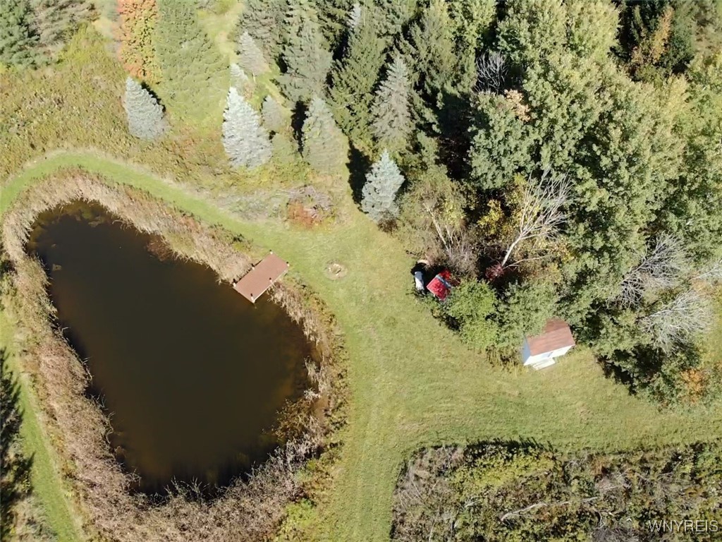 10070 Warner Gulf Road, Sardinia, New York image 11