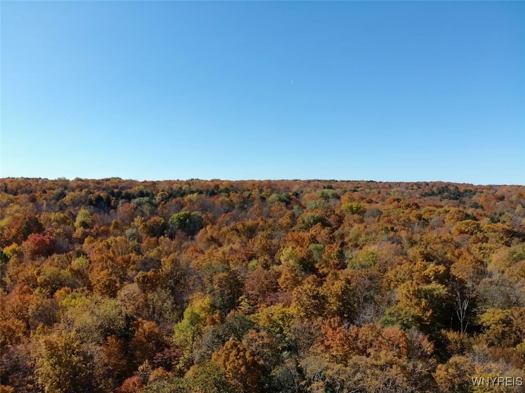 10070 Warner Gulf Road, Sardinia, New York image 31