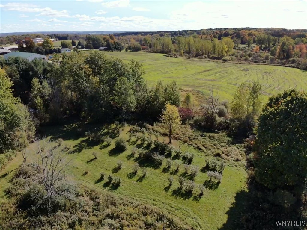 10070 Warner Gulf Road, Sardinia, New York image 25