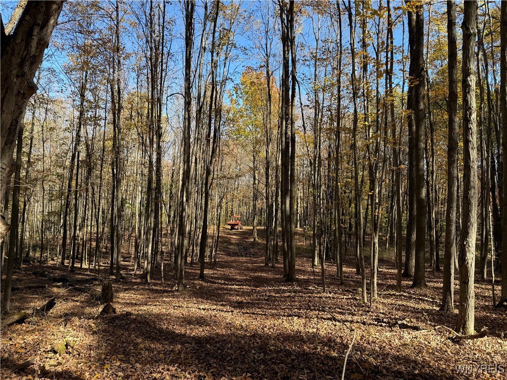 10070 Warner Gulf Road, Sardinia, New York image 16