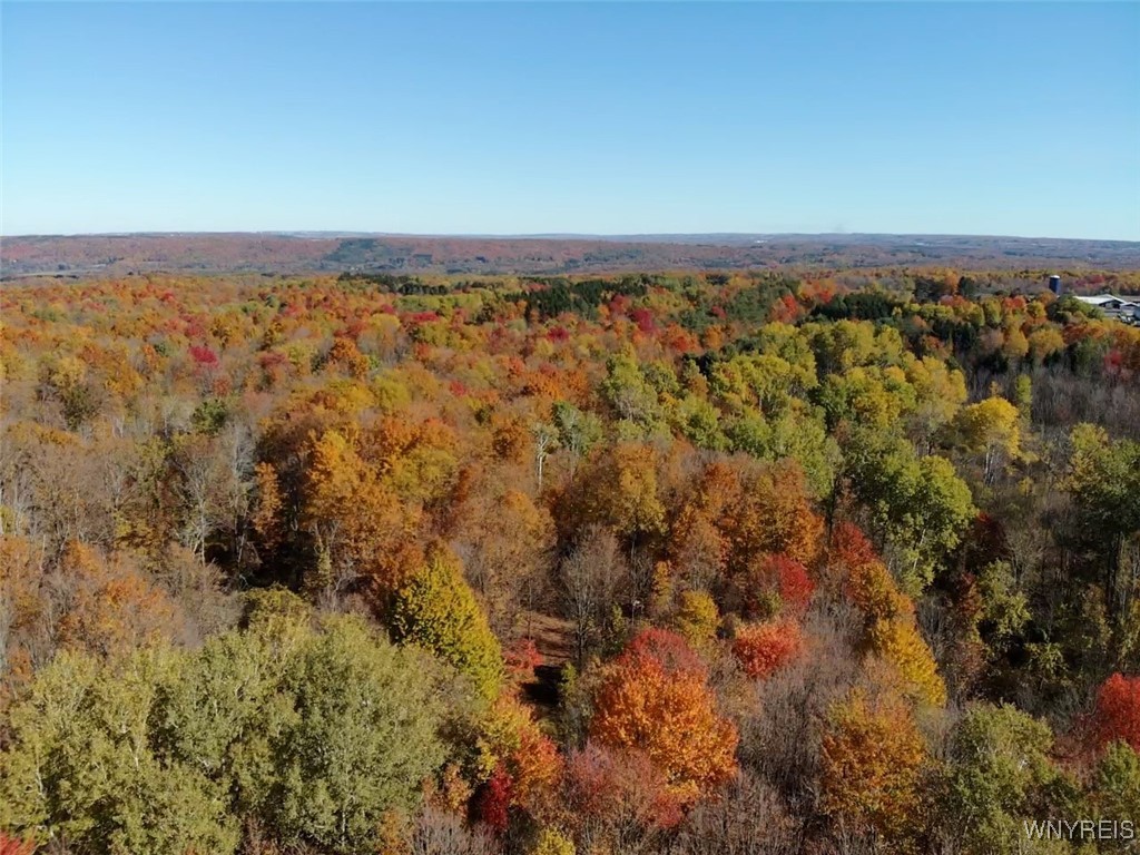 10070 Warner Gulf Road, Sardinia, New York image 41