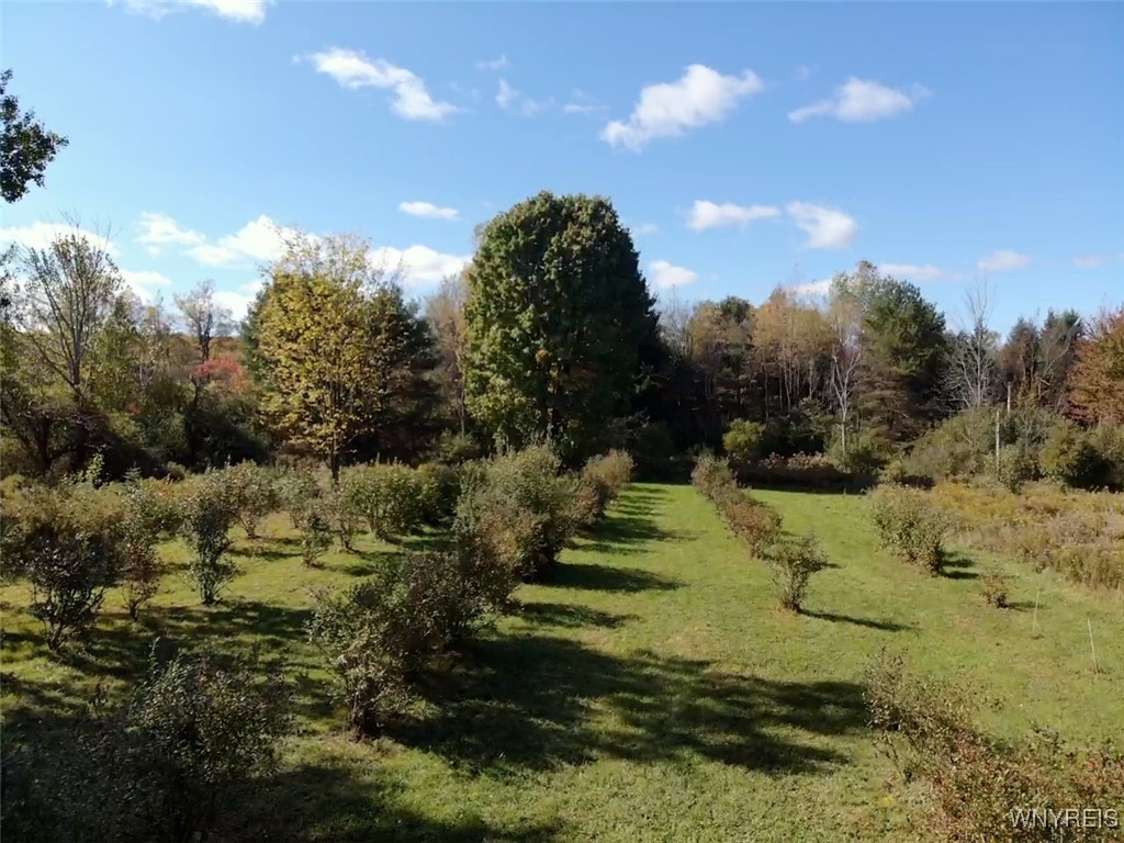 10070 Warner Gulf Road, Sardinia, New York image 22