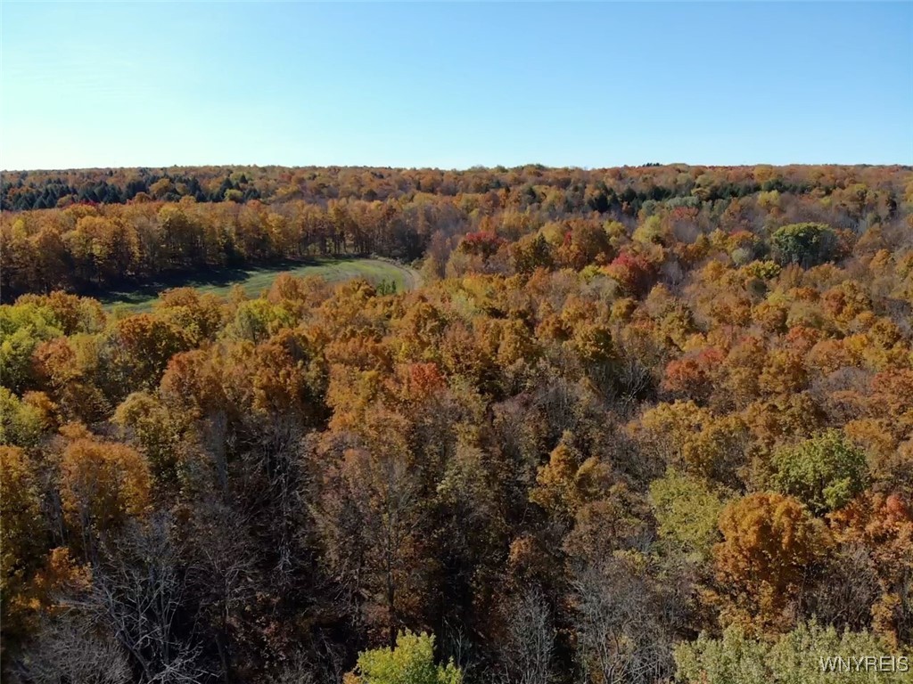 10070 Warner Gulf Road, Sardinia, New York image 49