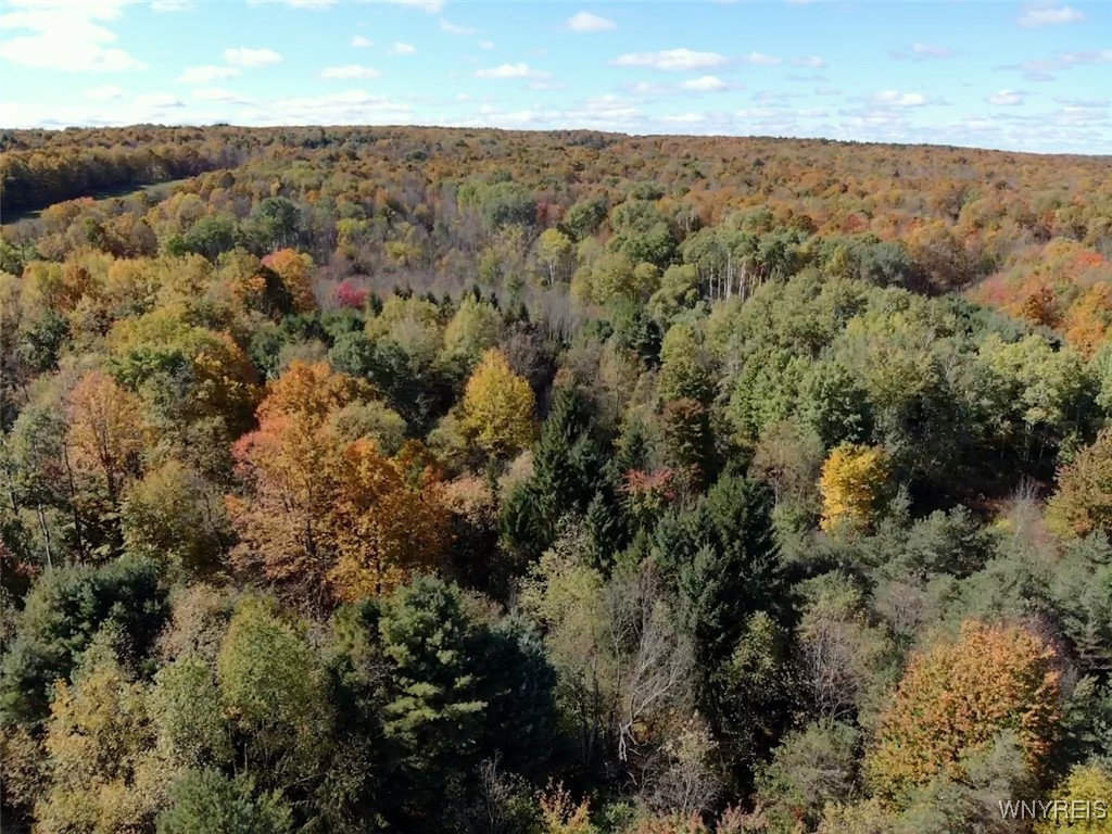 10070 Warner Gulf Road, Sardinia, New York image 30