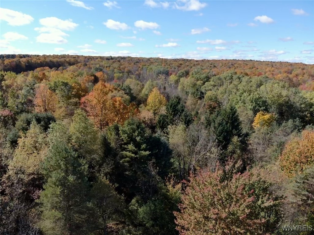10070 Warner Gulf Road, Sardinia, New York image 27