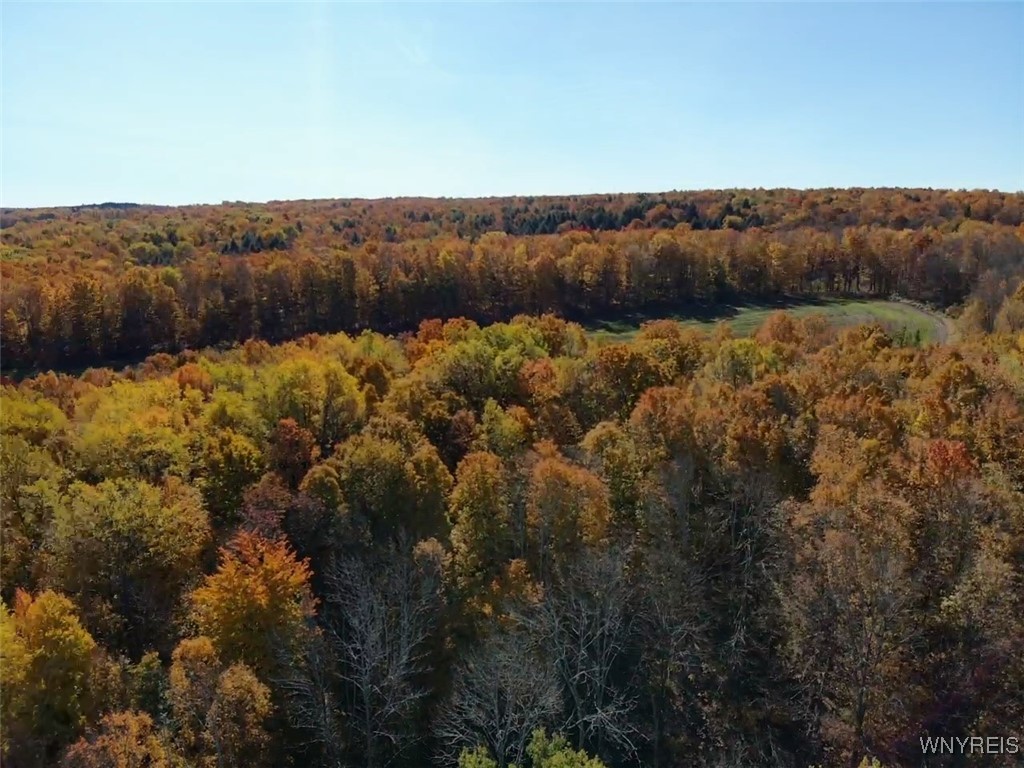 10070 Warner Gulf Road, Sardinia, New York image 50