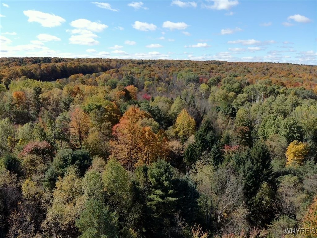 10070 Warner Gulf Road, Sardinia, New York image 28