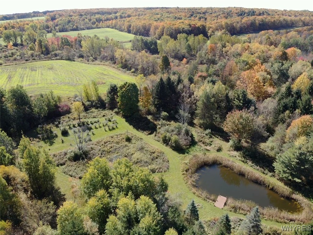 10070 Warner Gulf Road, Sardinia, New York image 19