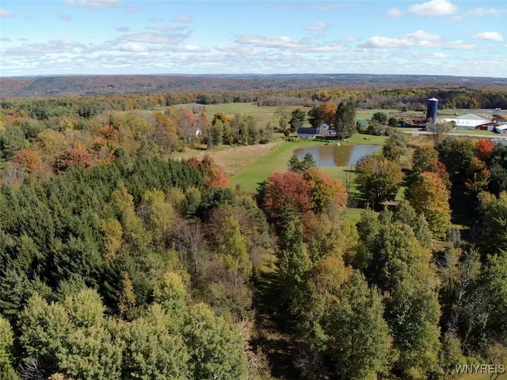 10070 Warner Gulf Road, Sardinia, New York image 29