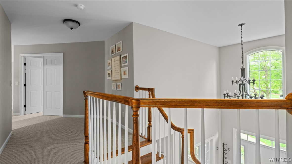 20 Woodthrush Trail Trl, Orchard Park, New York image 22