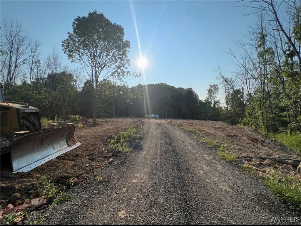 Photo of Dickersonville Road W, Porter, NY 14131 (MLS # B1652641)