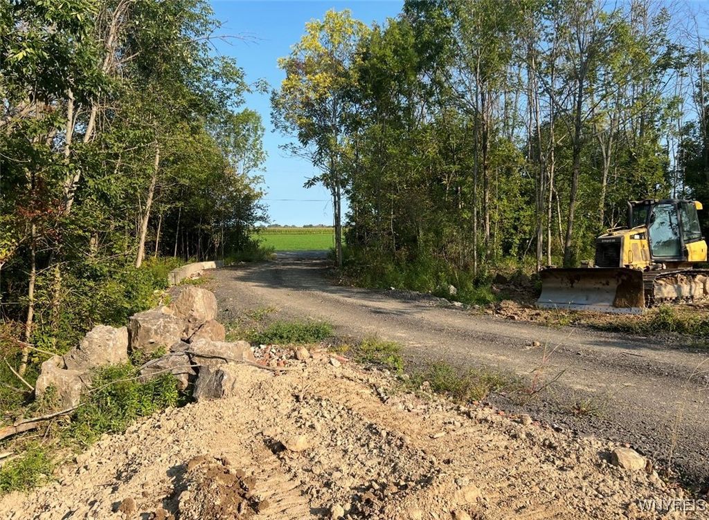 Photo of Dickersonville Road W, Porter, NY 14131 (MLS # B1652641)