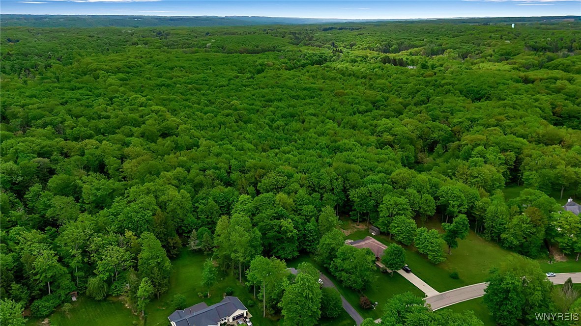8963 Carriage Crossing, Eden, New York image 8