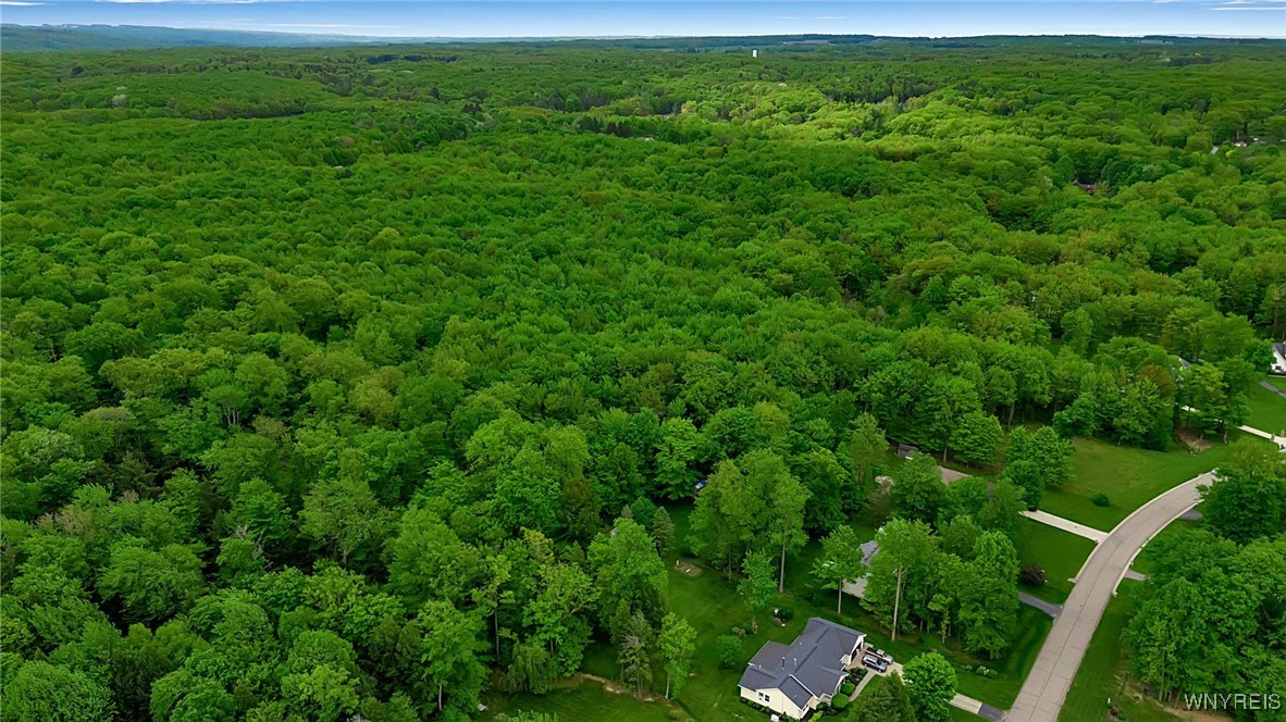 8963 Carriage Crossing, Eden, New York image 9