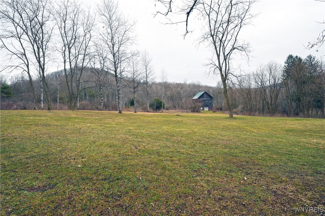 1661 Carpenter Hill Road, Ischua, New York image 48