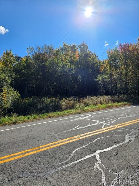 Vacant Land For Sale - V/L Pleasant Avenue<br/> Hamburg, NY 14075