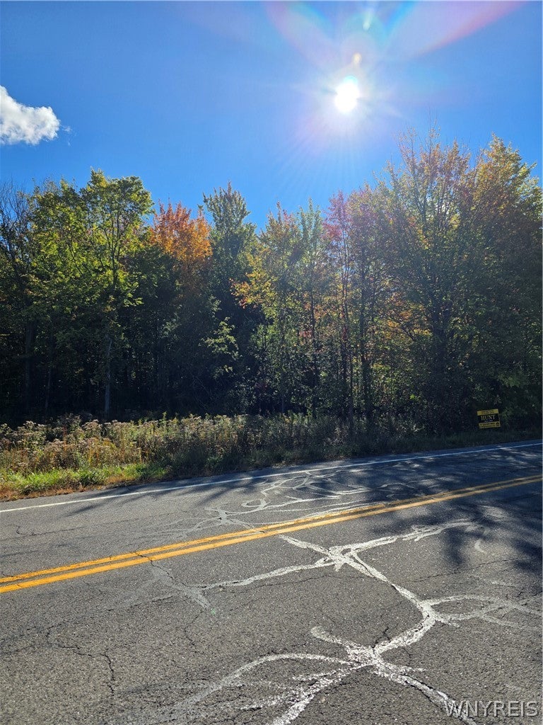 V/L Pleasant Avenue