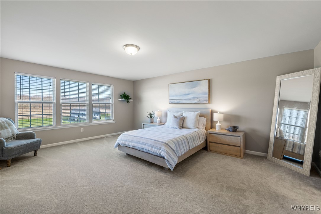 6767 Willow Ridge Drive, Hamburg, New York image 23