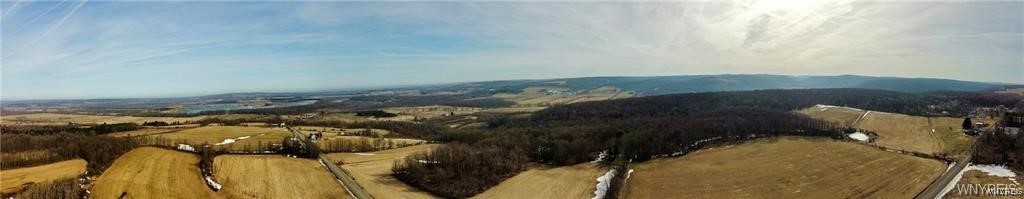 VL Kellogg Hill Road, Leon, New York image 25