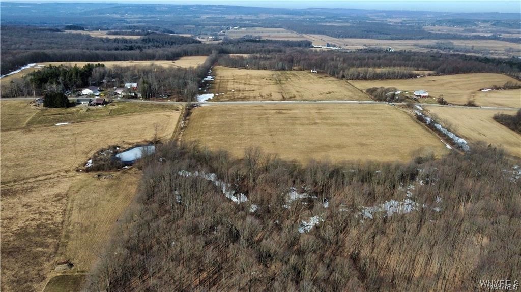 VL Kellogg Hill Road, Leon, New York image 17